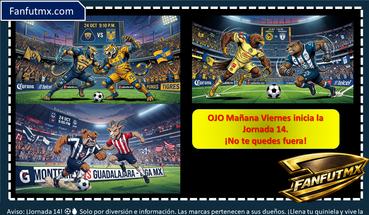 Slide 7